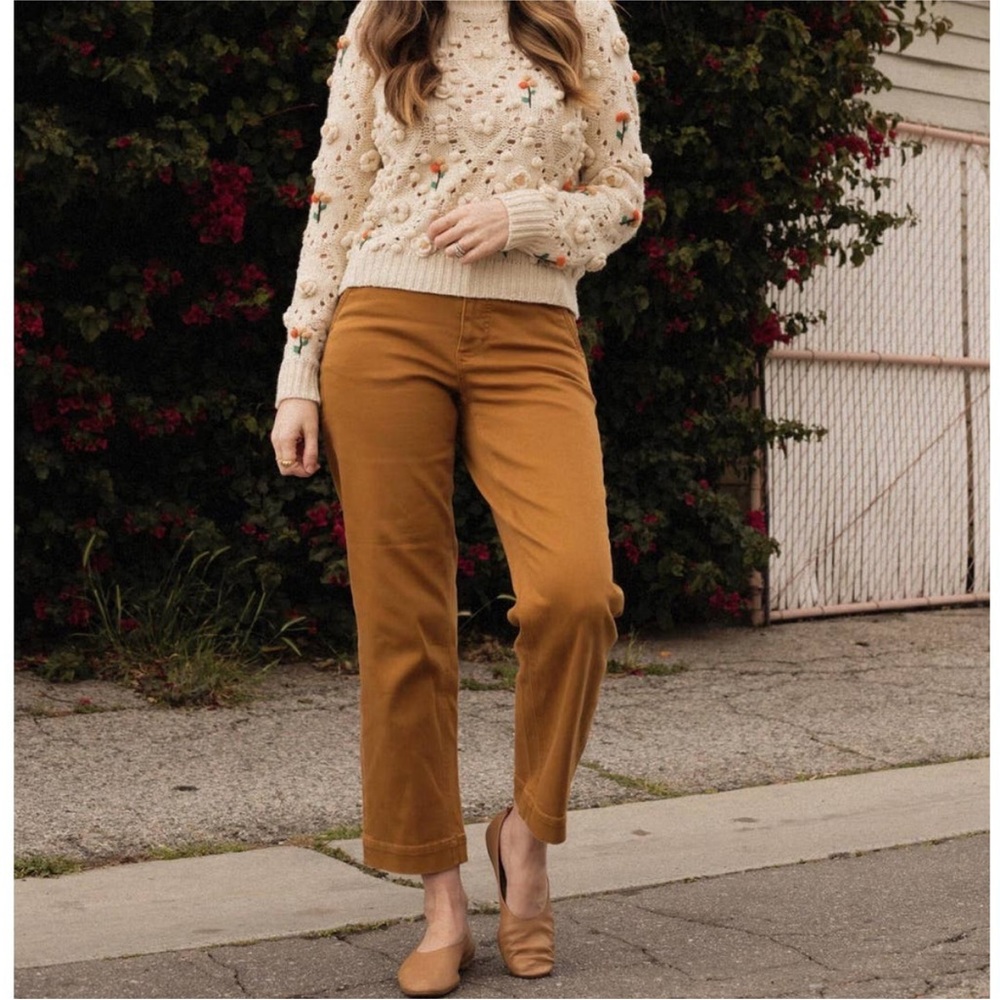 Everlane Straight Leg Crop in Cocoa 2